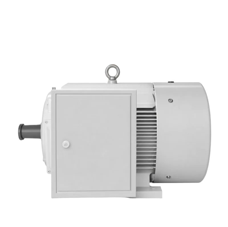 DYG high-starting-torque multi-speed motor