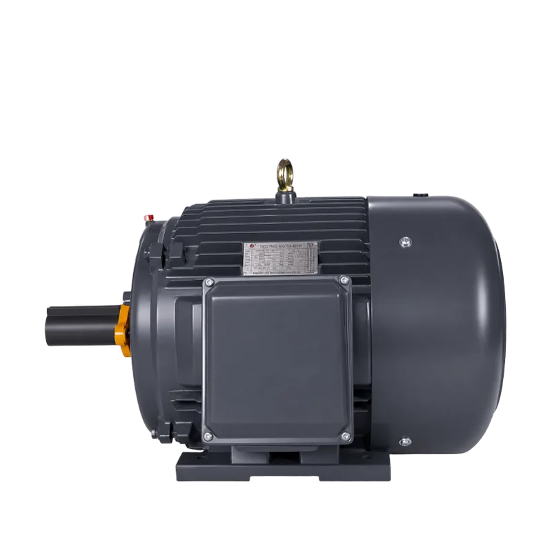 NEMA Premium efficiency three-phase induction motor