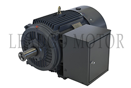 DYG Series High Starting Torque Multi-speed Electric Motor System