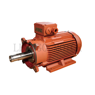 High Efficiency, Premium Efficiency Electric Motor Dedicated for Vacuum Pump