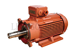 High Efficiency, Premium Efficiency Electric Motor Dedicated for Vacuum Pump