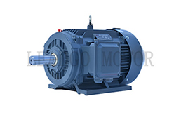 YX3（YE2、IE2）Series High Efficiency Three Phase Asynchronous Motor