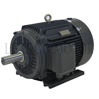 TYJX Series High Starting Torque Efficiency Permanent Magnet Synchronous Electric Motor