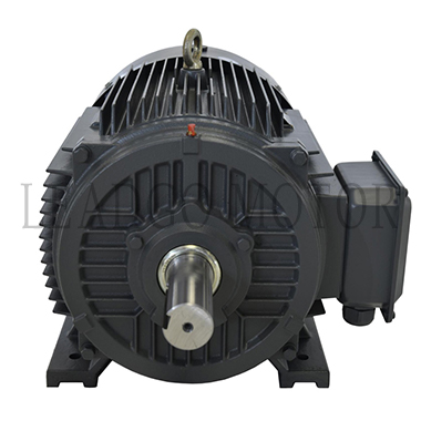 TYJX Series High Starting Torque Efficiency Permanent Magnet Synchronous Electric Motor