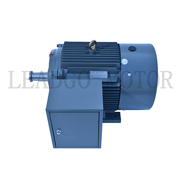 Y Series High Voltage High Efficiency Three Phase Induction Electric Motor