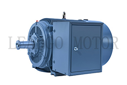 Y Series High Voltage High Efficiency Three Phase Induction Electric Motor