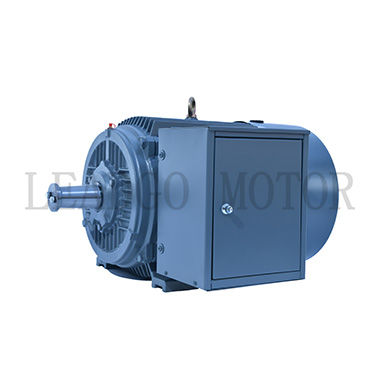 Y Series High Voltage High Efficiency Three Phase Induction Electric Motor