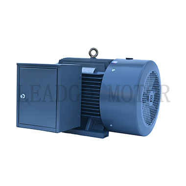 Y Series High Voltage High Efficiency Three Phase Induction Electric Motor