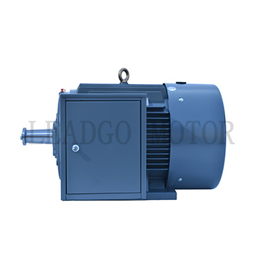 Y Series High Voltage High Efficiency Three Phase Induction Electric Motor