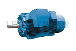 Y2,YX2 Series High Voltage Three Phase Induction Electric Motor