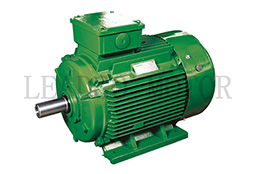 YDT Series Dedicated for Fan Pumping Pole-changing Multi-speed Three Phase Asynchronous Motor