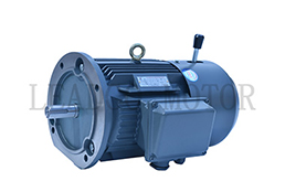 YEJ Series Electromagnetic Brake Three Phase Induction Motors