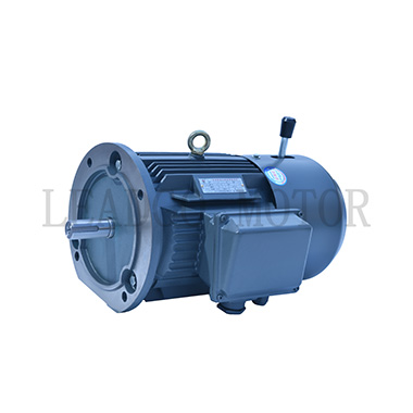 YEJ Series Electromagnetic Brake Three Phase Induction Motors