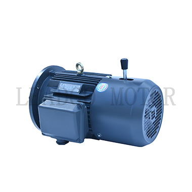 YEJ Series Electromagnetic Brake Three Phase Induction Motors