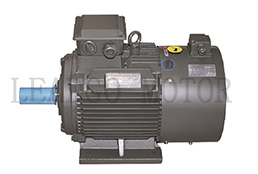 YVPM Series Three Phase Induction Electric Motor Adjustable Frequency and Speed System Dedicated for Coal-bed Gas